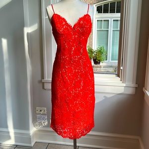 NWT Bardo bright orange lace cocktail dress size 8/M